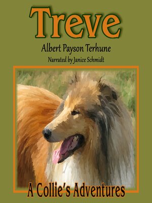 cover image of Treve